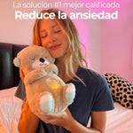 Peluches dulces sueños