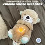 Peluches dulces sueños